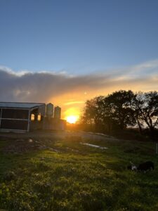 La ferme img 3727 2